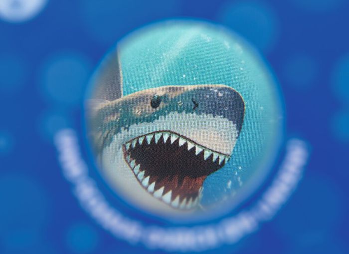 Fascinating 3D Picture Show: Discover the Ocean