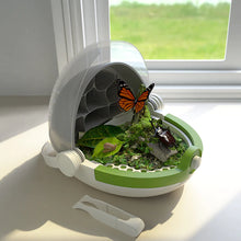 Load image into Gallery viewer, Insect Growth Station
