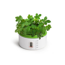 Load image into Gallery viewer, Plant Growth Station
