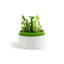 Load image into Gallery viewer, Plant Growth Station
