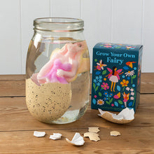 Load image into Gallery viewer, Hatching Egg &#39;&#39;Grow Your Own Fairy&#39;&#39;
