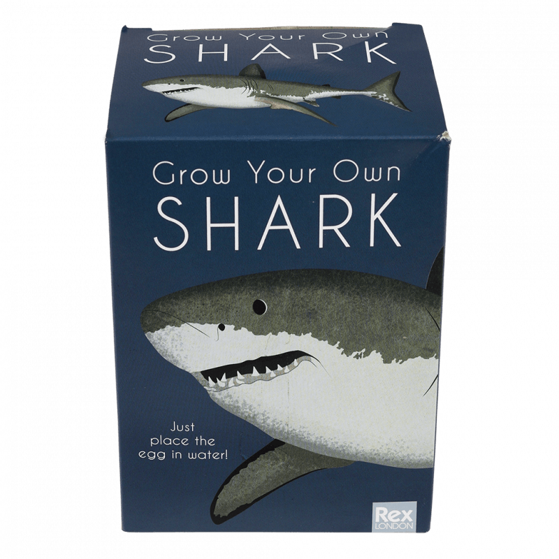 Hatching Egg ''Grow Your Own Shark''