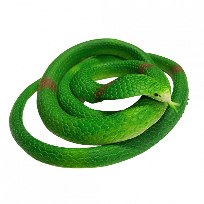 Rubber Snake