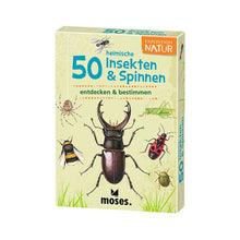 Lade das Bild in den Galerie-Viewer, 50 Insekten und Spinnen
