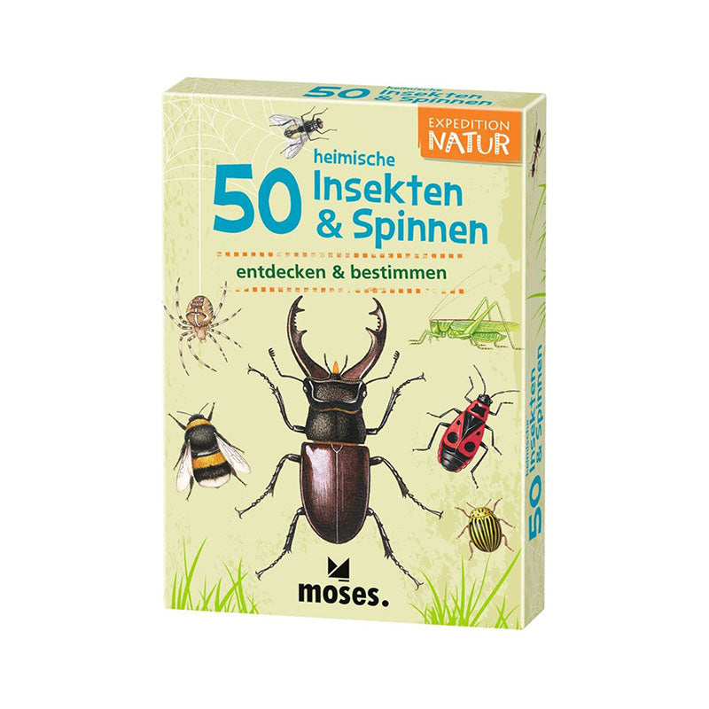 50 Insekten und Spinnen