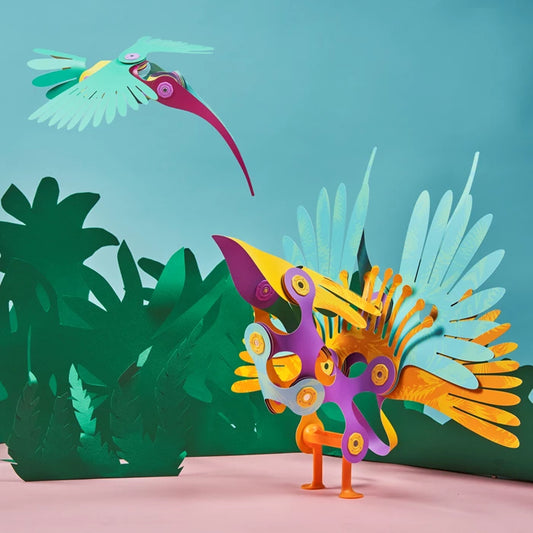 Clixo, Tropical Birds