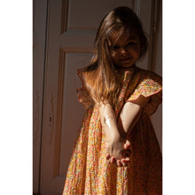 Load image into Gallery viewer, Elin Dress &#39;&#39;rosier coloré&#39;&#39;
