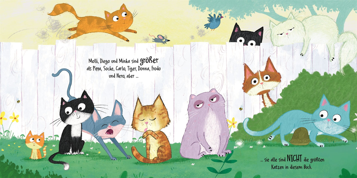 Miau, Miauuuu! Wer ist die größte Katze im Buch?, 3 Jahre +