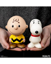 Lade das Bild in den Galerie-Viewer, Peanuts Spaß! Charlie Brown, gelbe Hemdfigur
