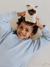 Load image into Gallery viewer, B. T. Chaps Eddie the Siamese Cat in Giftbox
