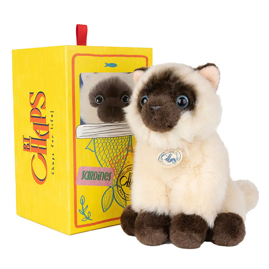 B. T. Chaps Eddie die Siamkatze in Geschenkbox