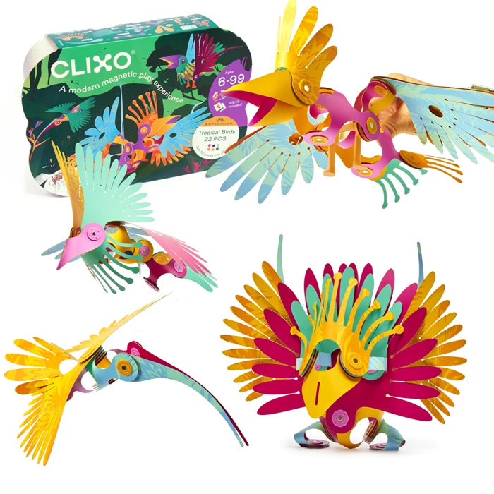 Clixo, Tropische Vögel
