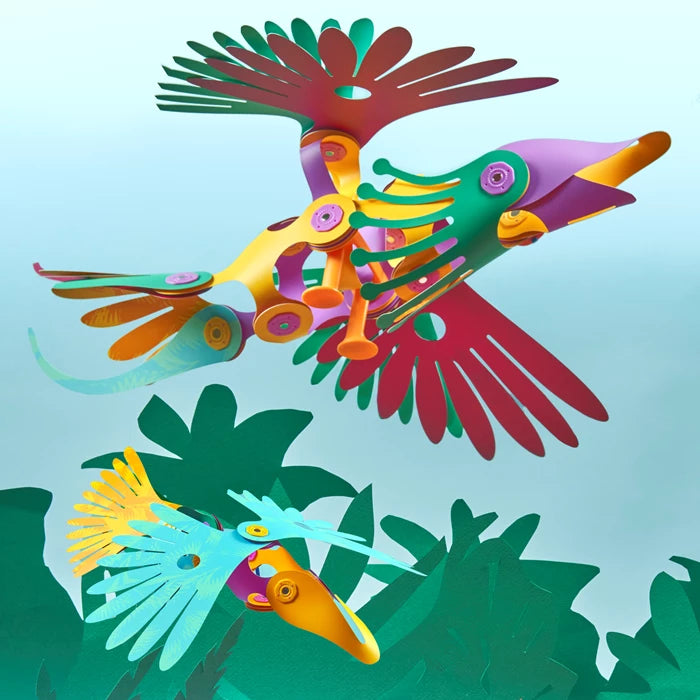Clixo, Tropische Vögel