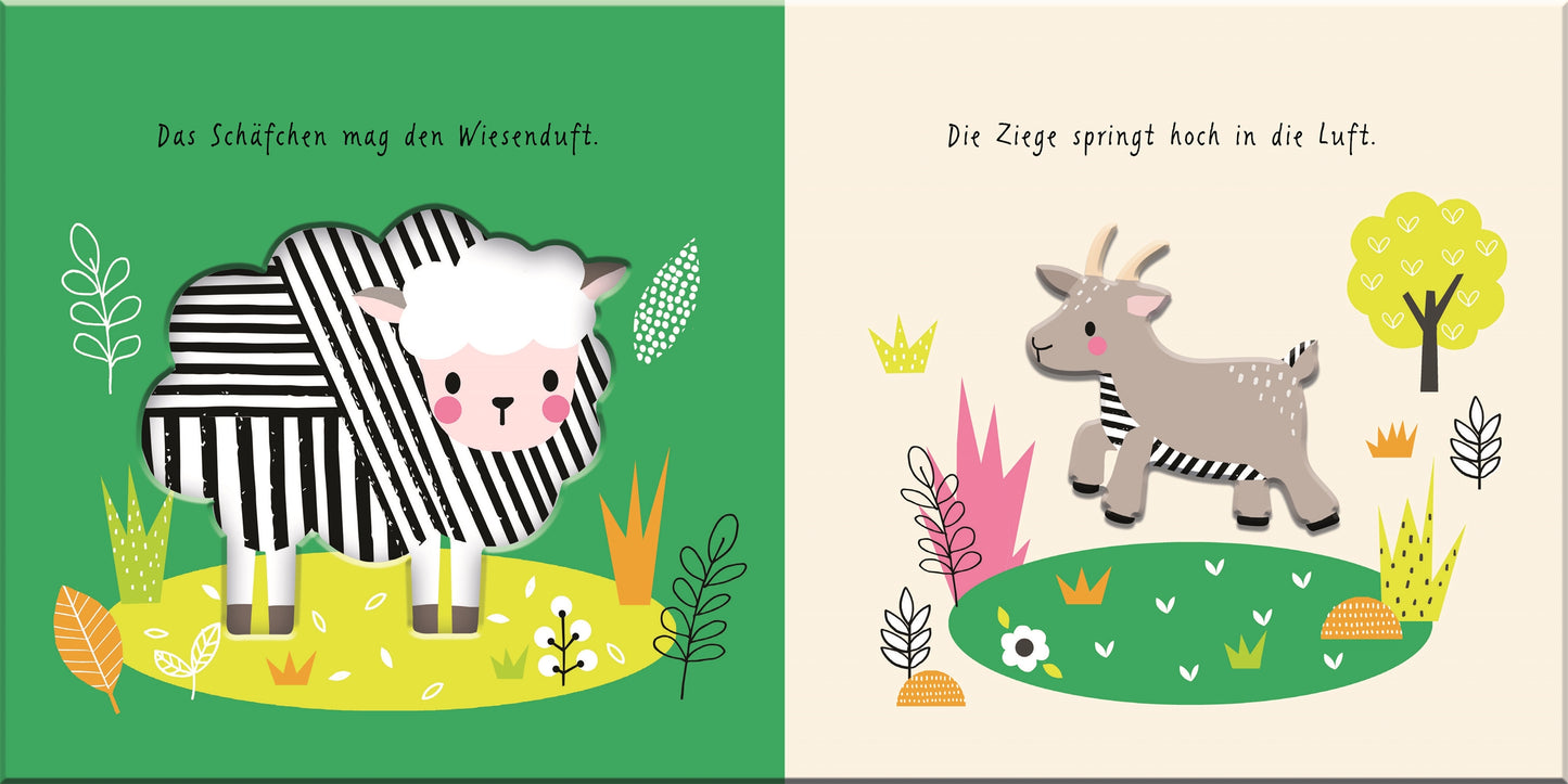 Meine ersten Tiere. Auf dem Bauernhof Buch, 6 Monate +