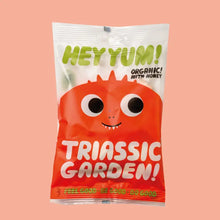 Load image into Gallery viewer, HEY YUM! &#39;&#39;Triassic Garden&#39;&#39; Organic Fruit Gums, 50g
