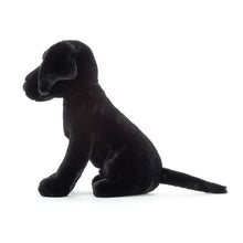 Load image into Gallery viewer, Soft Toy &#39;&#39;Jellycat Pippa Black Labrador&#39;&#39;&#39;
