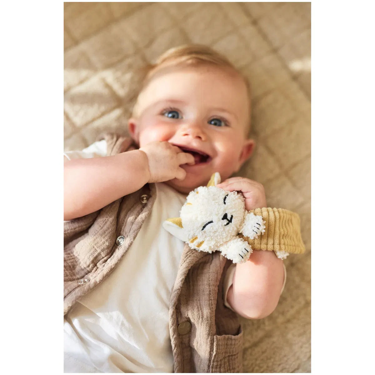 Baby-Handgelenkrassel, Katze