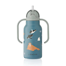 Load image into Gallery viewer, Kimmie Steel Water Bottle &#39;&#39;Artic Sea / Ocean View&#39;&#39; 250ml
