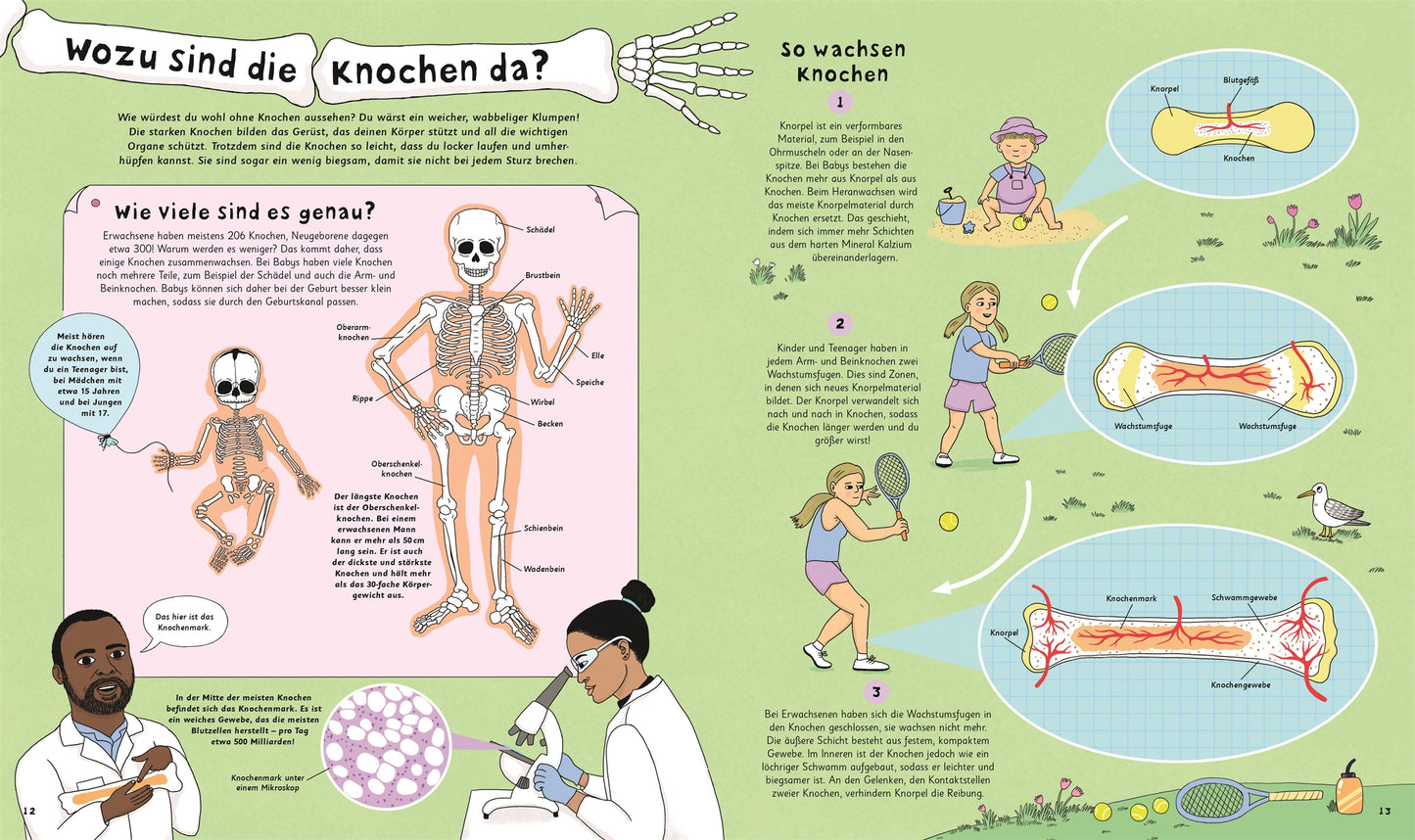 Wie kommt der Popel in die Nase? Buch, 5 Jahre +