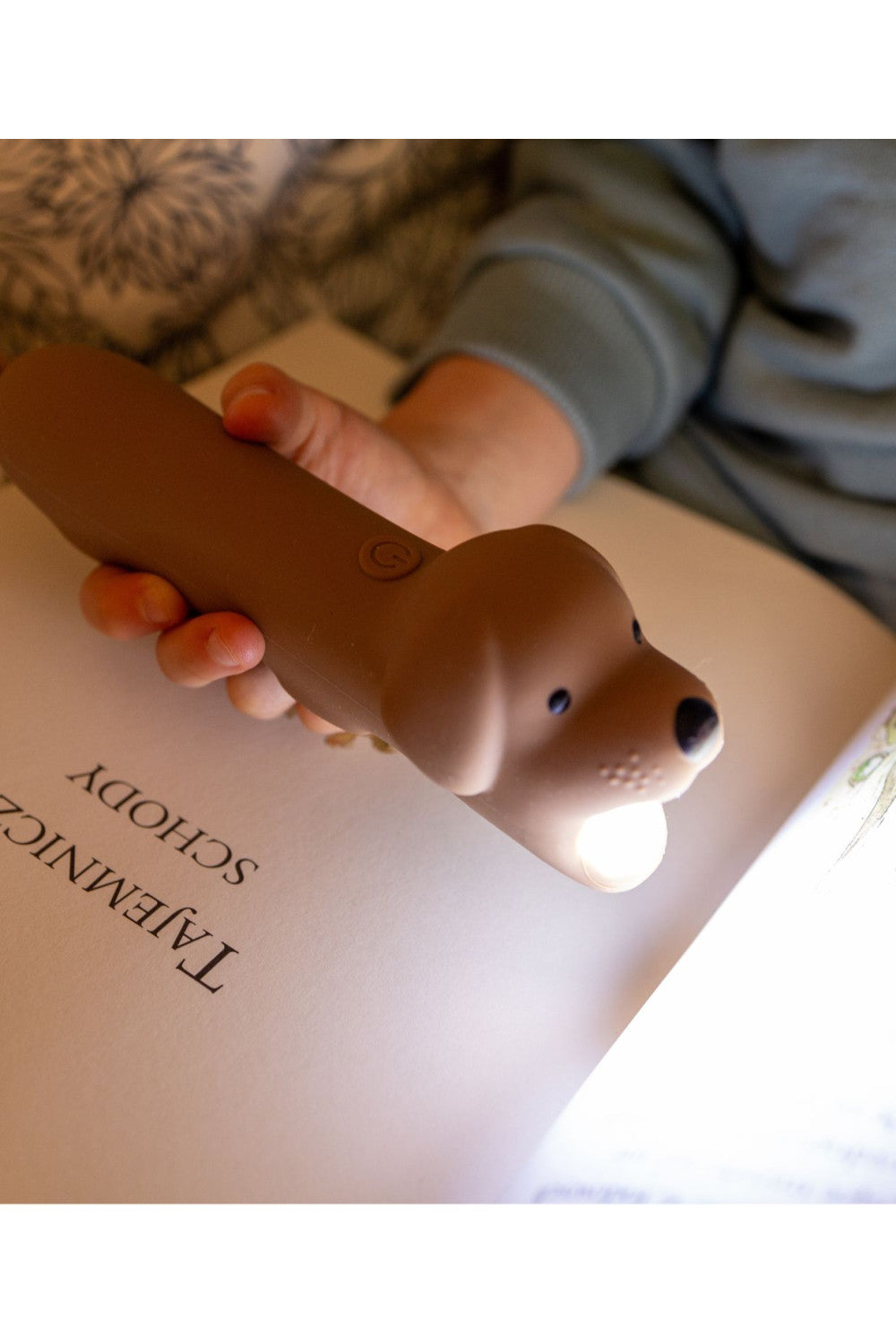 Taschenlampe, Hund
