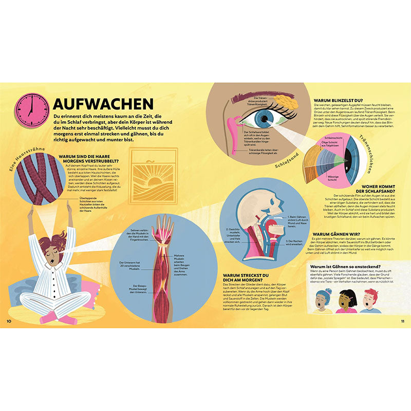 Ein Tag in deinem Körper, Book