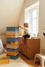 Load image into Gallery viewer, Weston Storage Box, 2 Pack, Small ''Apple Blossom''
