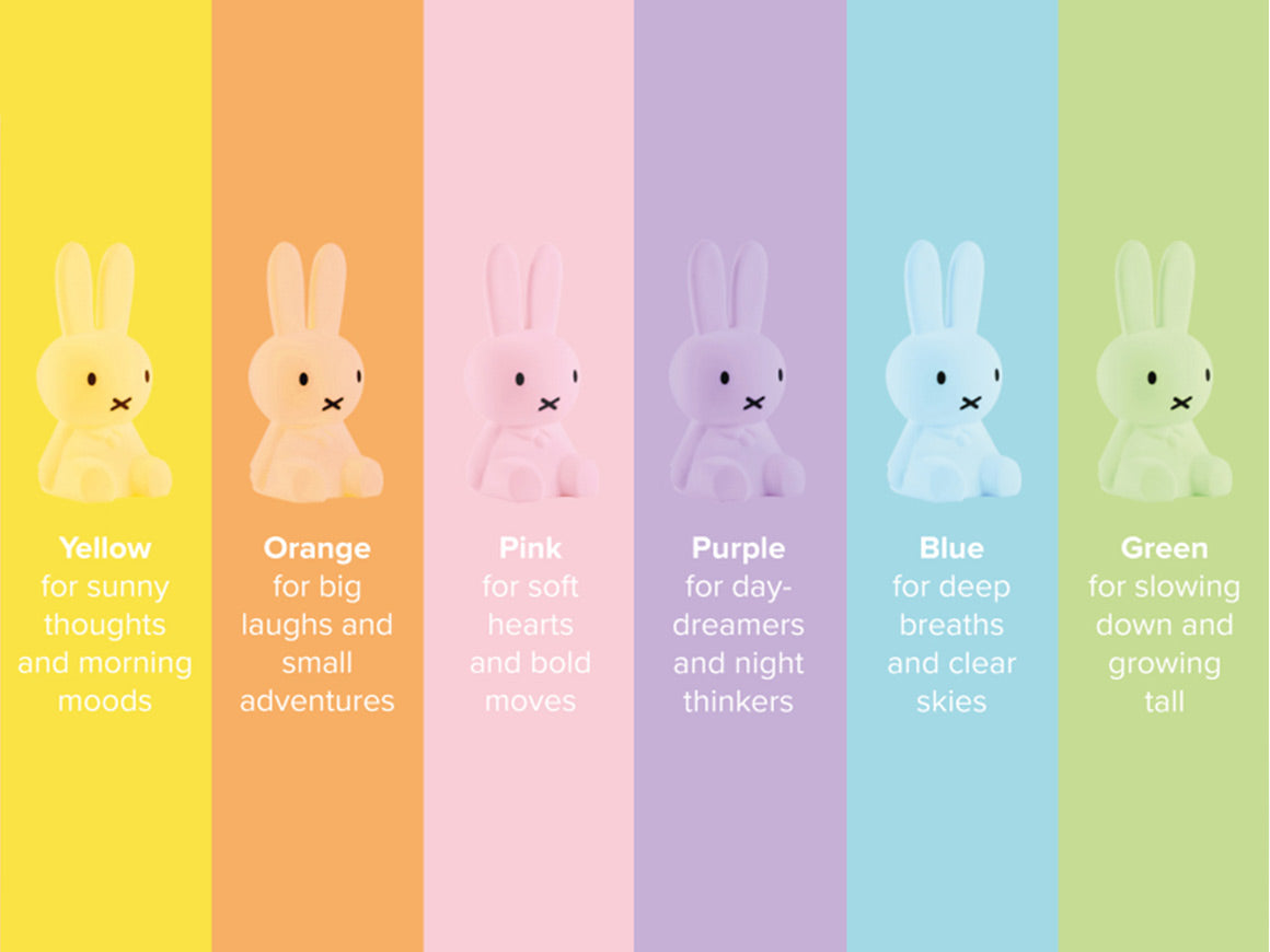 Miffy Nachtlicht, Bundle of Light Blind Box