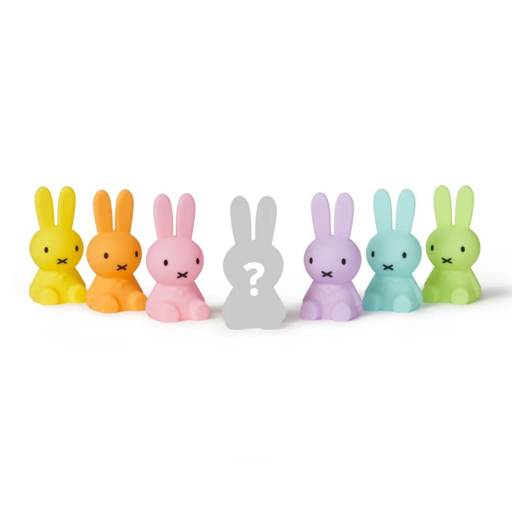 Miffy Nachtlicht, Bundle of Light Blind Box