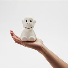 Lade das Bild in den Galerie-Viewer, Lichtbündel &#39;&#39;Monkey Nightlight&#39;&#39;
