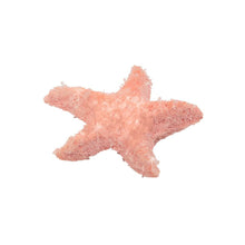 Load image into Gallery viewer, Sparkling Crystals Growing Set &#39;&#39;Red Starfish&#39;&#39;

