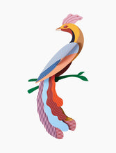 Lade das Bild in den Galerie-Viewer, 3D-Wanddekoration „Paradiesvogel, Nusa“.
