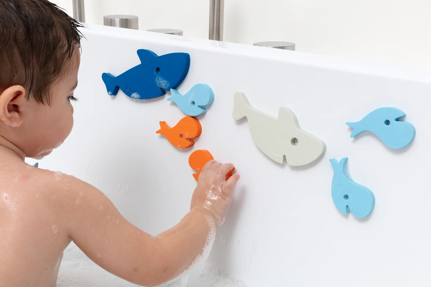 Bath Puzzle, Shark