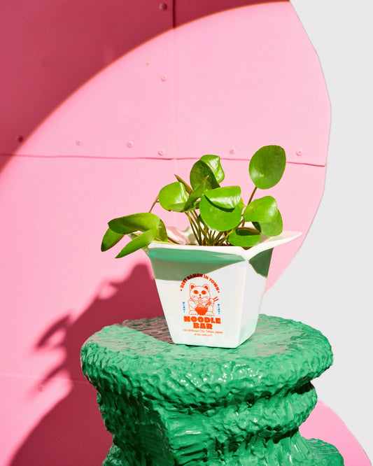 Ramenvase