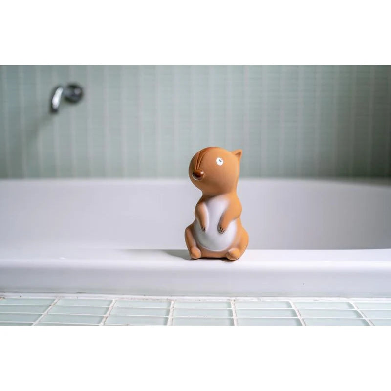 Teether Rattle & Bath Toy, Squirrel