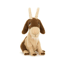Lade das Bild in den Galerie-Viewer, Jellycat Smudge Monkey, Klein, Plüschtier

