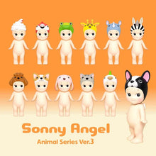 Load image into Gallery viewer, Sonny Angel Blind Box, Various Series'
