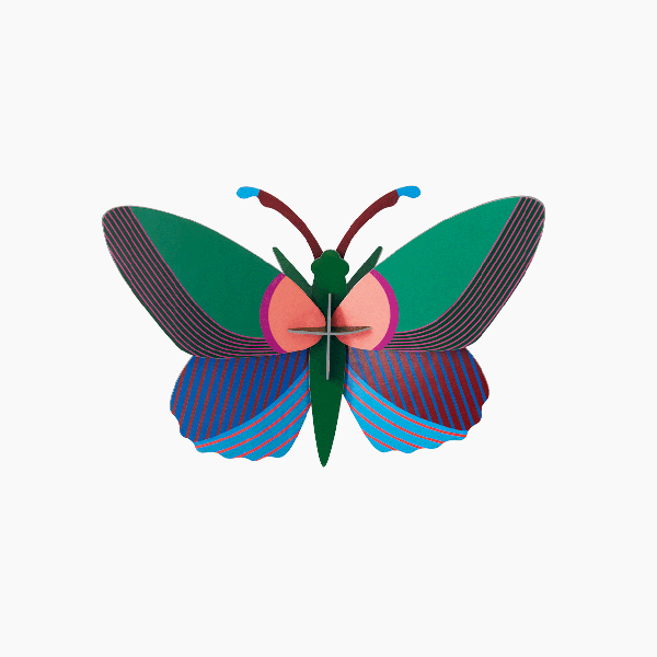Wall Decoration ''Acacia Butterfly''