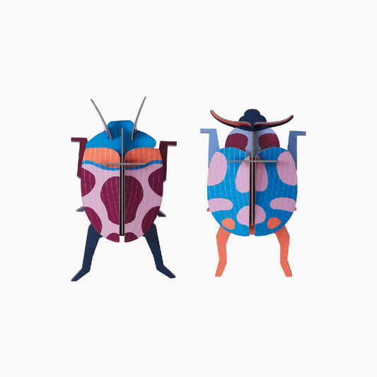 Studio Roof, Coccinelle Paar Dekoration