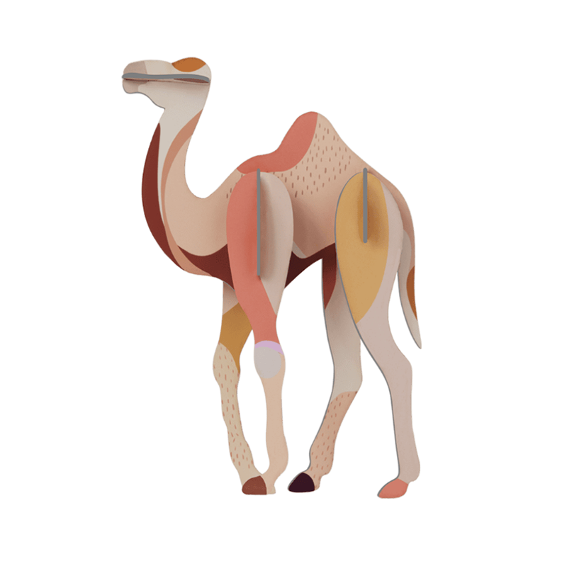 Camel, Wall Decoration