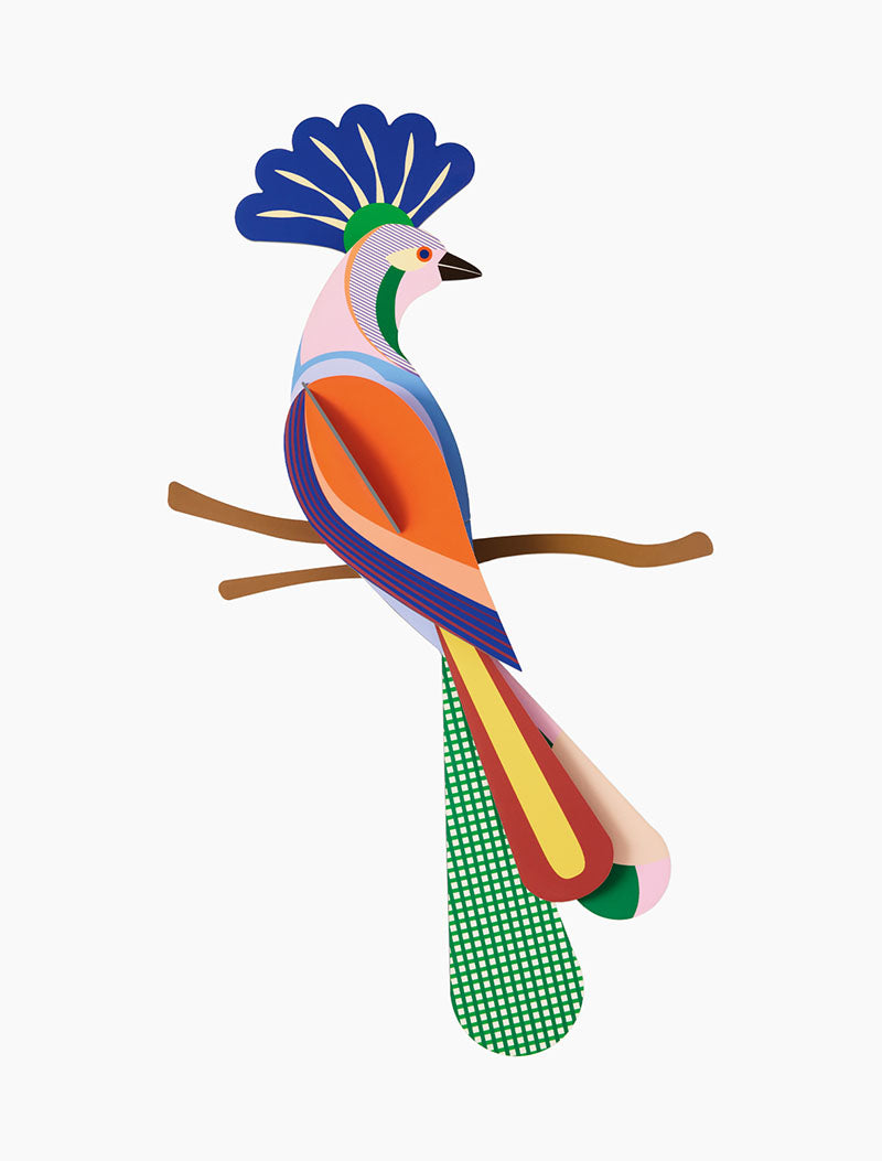 3D-Wanddekoration „Paradiesvogel, Tinjil“.