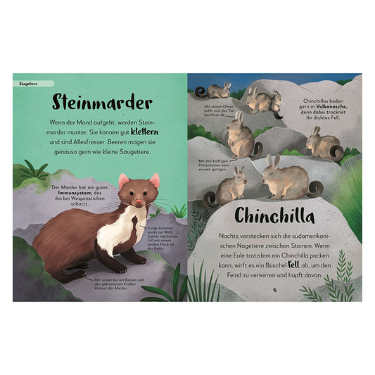 Mein liebstes Buch der Tiere der Nacht Book