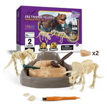 Lade das Bild in den Galerie-Viewer, Fossilien-Ausgrabungsset „T Rex“
