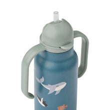 Load image into Gallery viewer, Kimmie Steel Water Bottle &#39;&#39;Artic Sea / Ocean View&#39;&#39; 250ml
