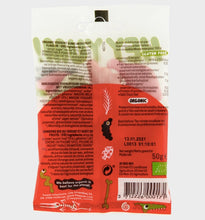 Load image into Gallery viewer, HEY YUM! &#39;&#39;Triassic Garden&#39;&#39; Organic Fruit Gums, 100g
