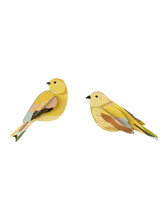 Load image into Gallery viewer, Studio Roof, Garden Bird: Citrinella Pair,  Wall Decoration
