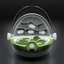 Insect Growth Station