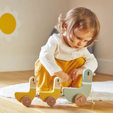Load image into Gallery viewer, Ducks, Pull Along Toy
