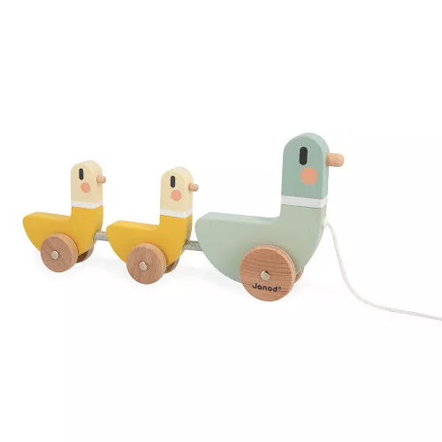 Ducks, Pull Along Toy