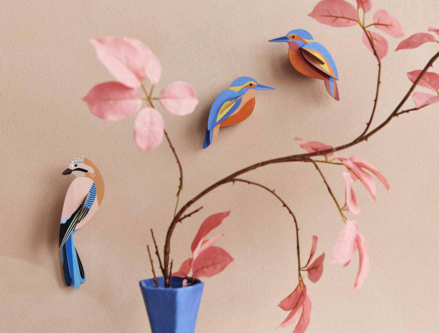 Studio Roof, Garden Bird, Jay Decoration