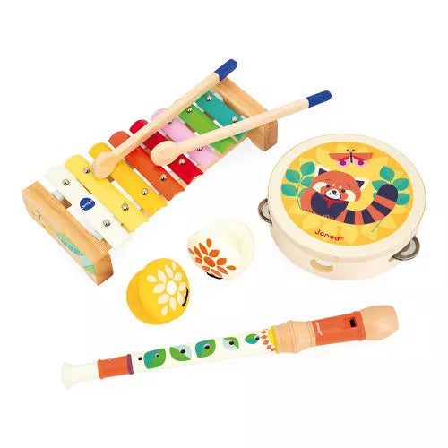 Musical Instrument Set ''Gioia'' 18 Months +